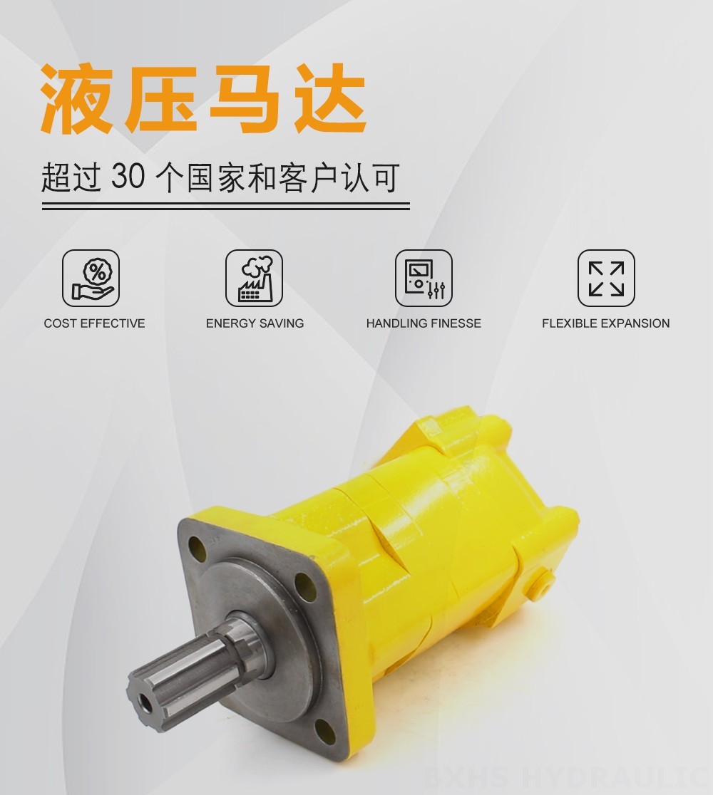 BM5_摆线液压马达-2 100 cc/r 75 Lpm 液压马达